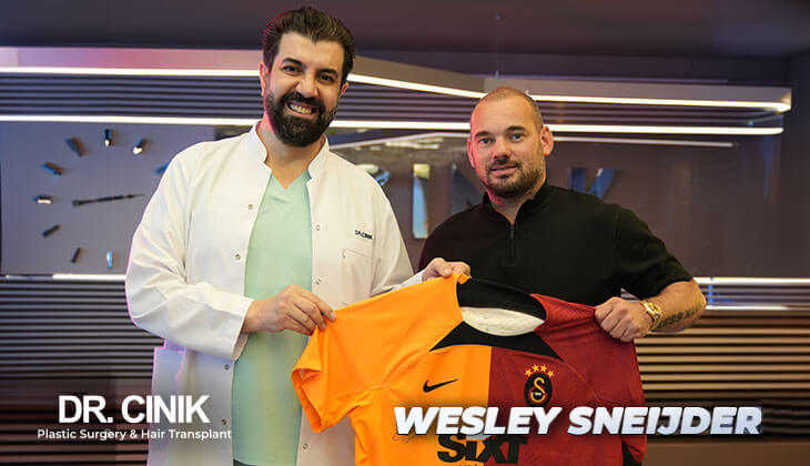 Wesley Sneijder